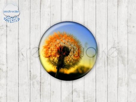 Motiv-Cabochons 49187-1 Einzelset  